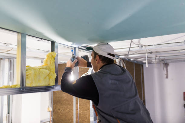 Best Geographic-Specific Insulation Services in Williamstown, WV