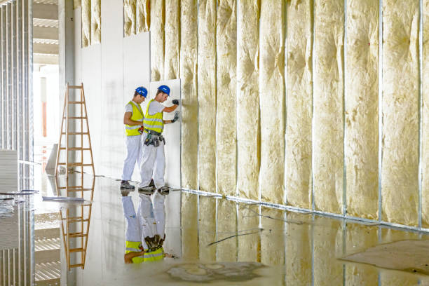 Best Insulation Maintenance and Repair in Williamstown, WV